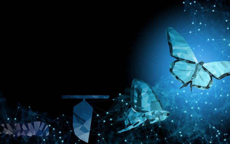 Cover Photo, Article