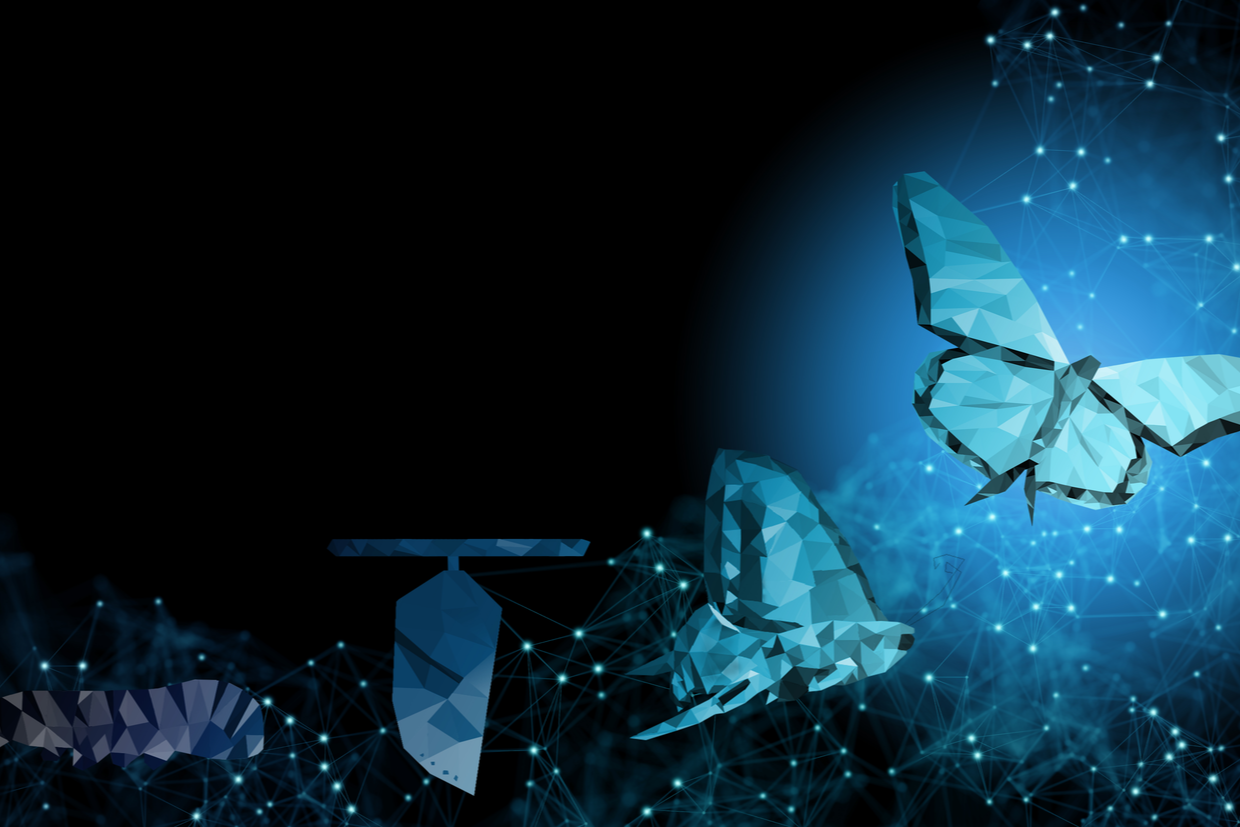 Cover Photo, Article